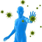 Boost Immunity for the Cold and Flu Season 